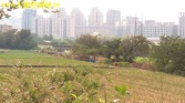 新竹縣竹北市竹北農地買賣,高鐵站附近,璞玉田農地 新竹縣竹北市竹北農地買賣,高鐵站附近,璞玉田農地