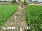 新竹縣竹北市售★新竹★竹北土地★萬家興農牧用地 新竹縣竹北市售★新竹★竹北土地★萬家興農牧用地