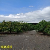 售屏東縣枋寮鄉戰備跑道農地農地2,280萬